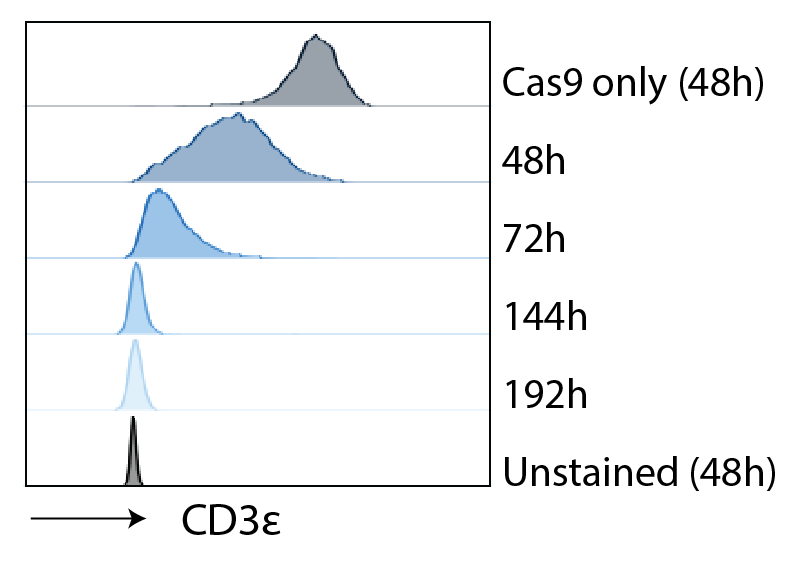 Identification of Core Techniques That Enhance Genome Editing of Human T Cells Expressing Synthetic Antigen Receptors