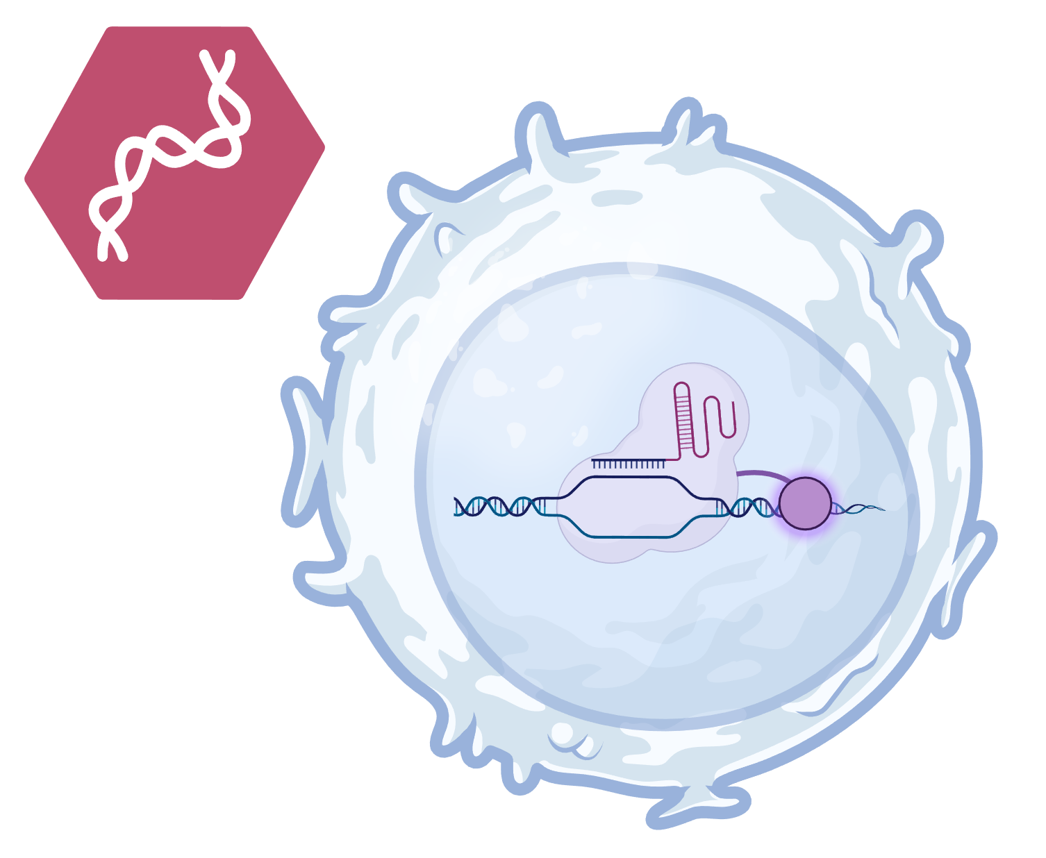 Regulatory Considerations for Genome-Edited T-cell Therapies